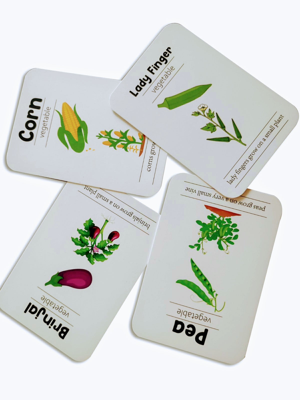 Buy Flashcards 5 Combo (Pack of Animals, Fruits, Vegetables, Professions, Space) SkilloToys.com