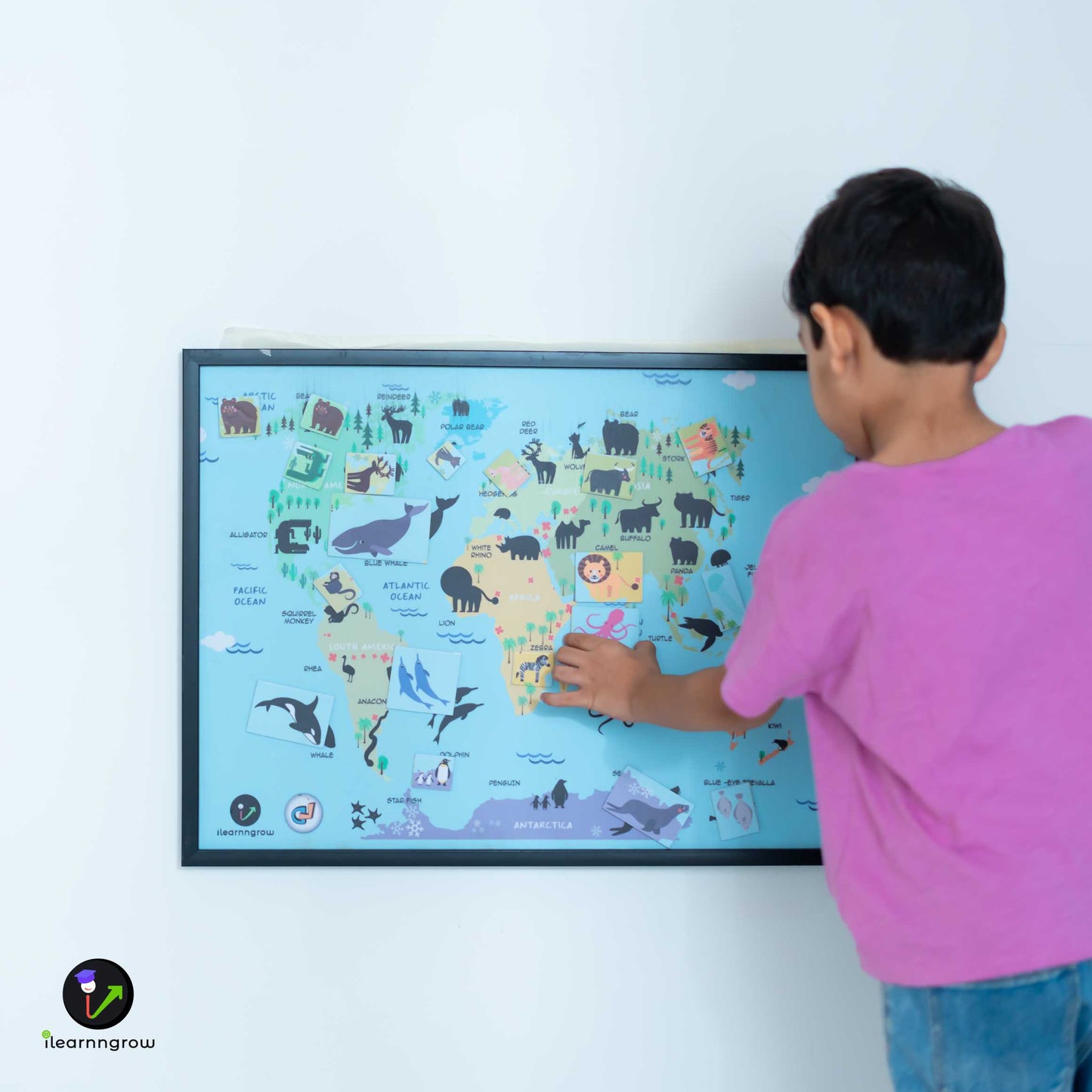 Buy Animals Found in the Continent Magnetic Wooden Board - SkilloToys.com