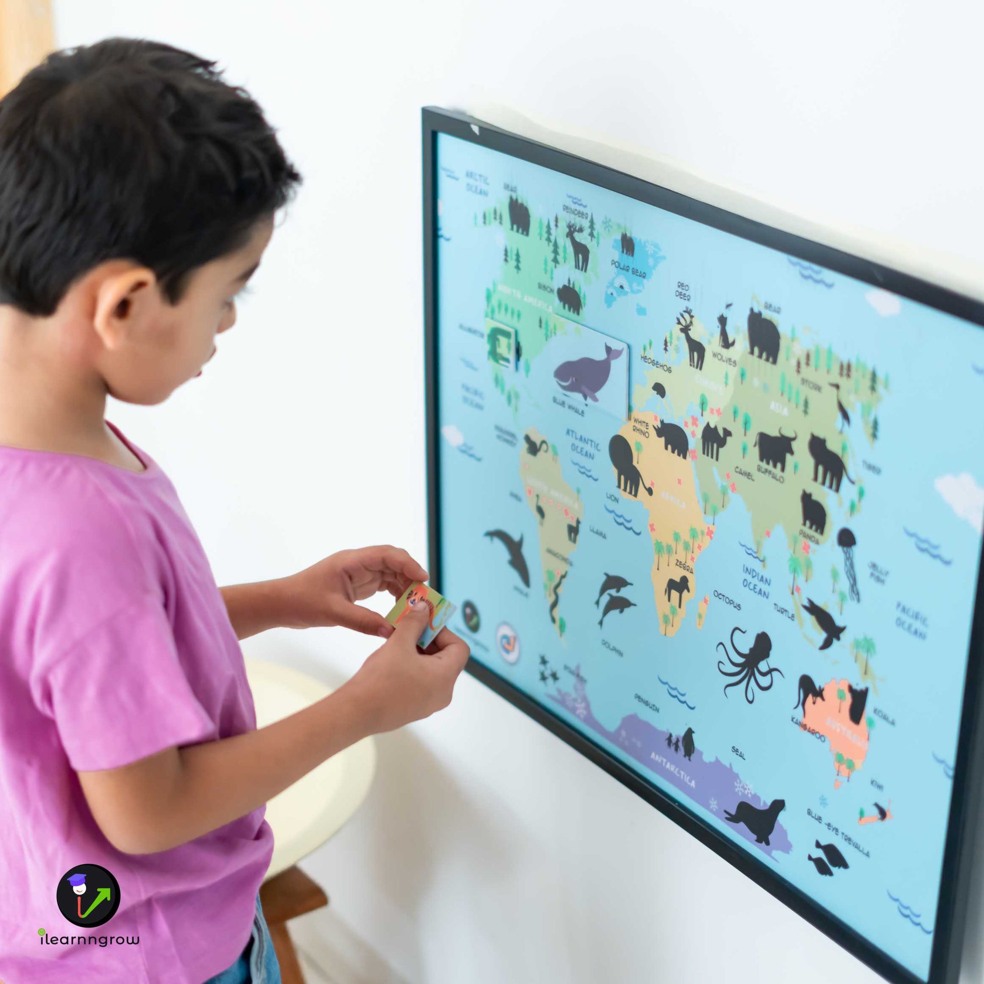 Buy Animals Found in the Continent Magnetic Wooden Board - SkilloToys.com