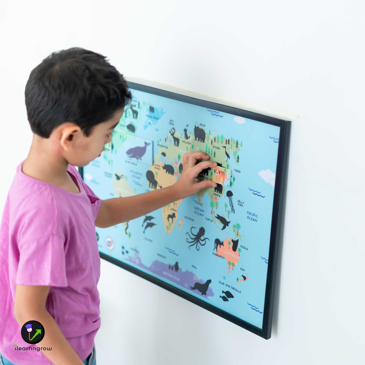 Buy Animals Found in the Continent Magnetic Wooden Board - SkilloToys.com