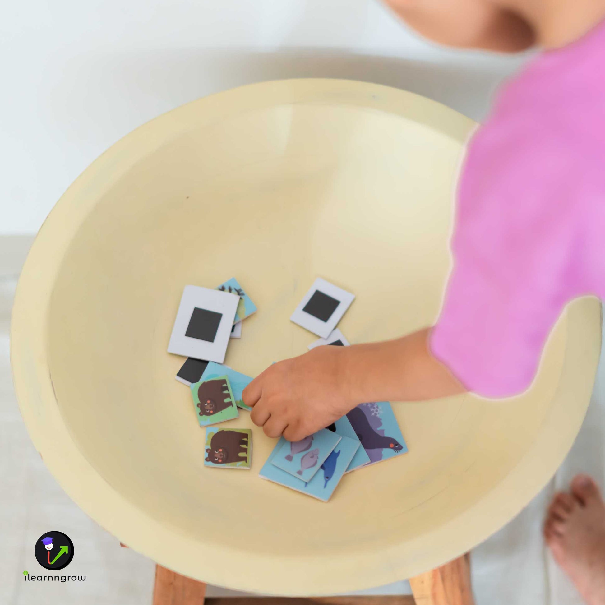 Buy Animals Found in the Continent Magnetic Wooden Board - SkilloToys.com