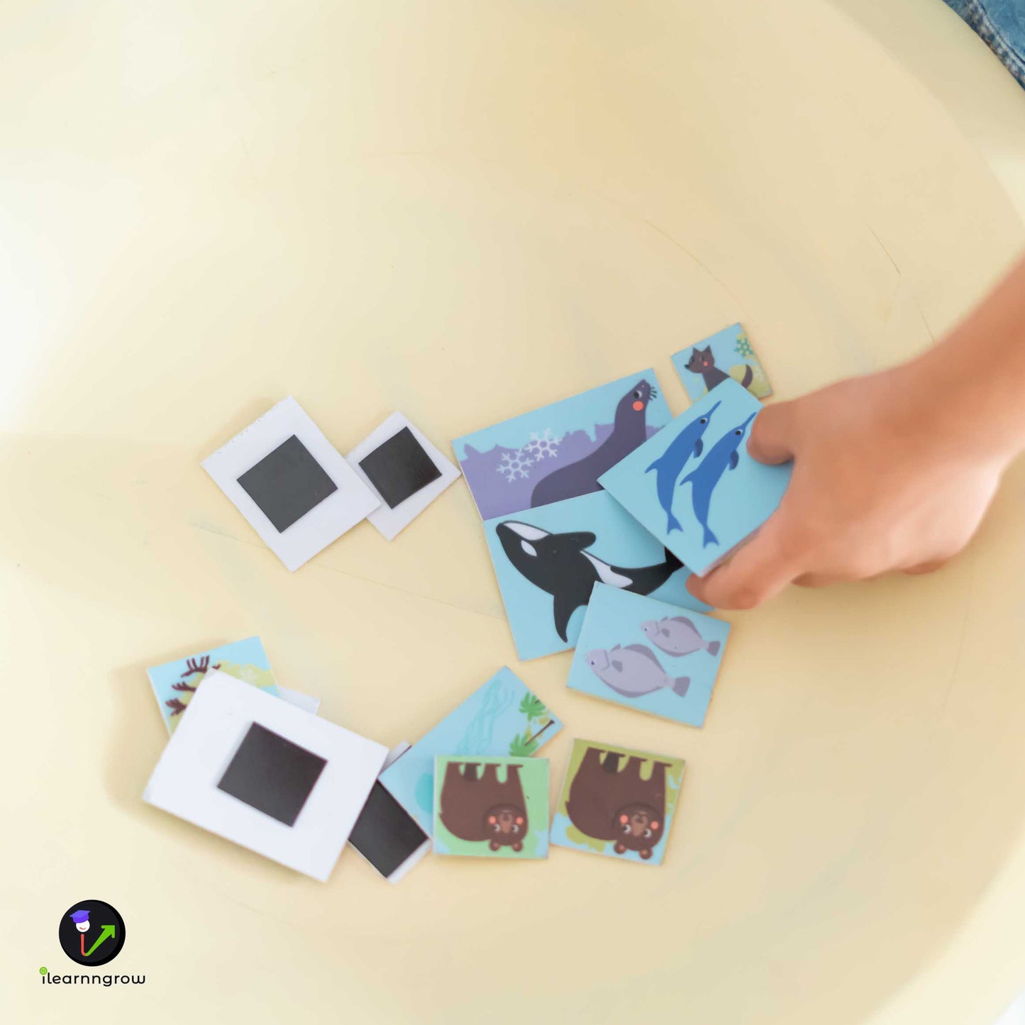 Buy Animals Found in the Continent Magnetic Wooden Board - SkilloToys.com