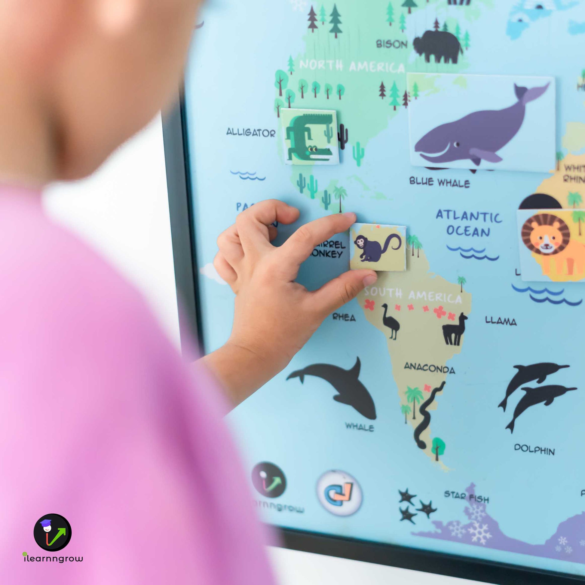 Buy Animals Found in the Continent Magnetic Wooden Board - SkilloToys.com