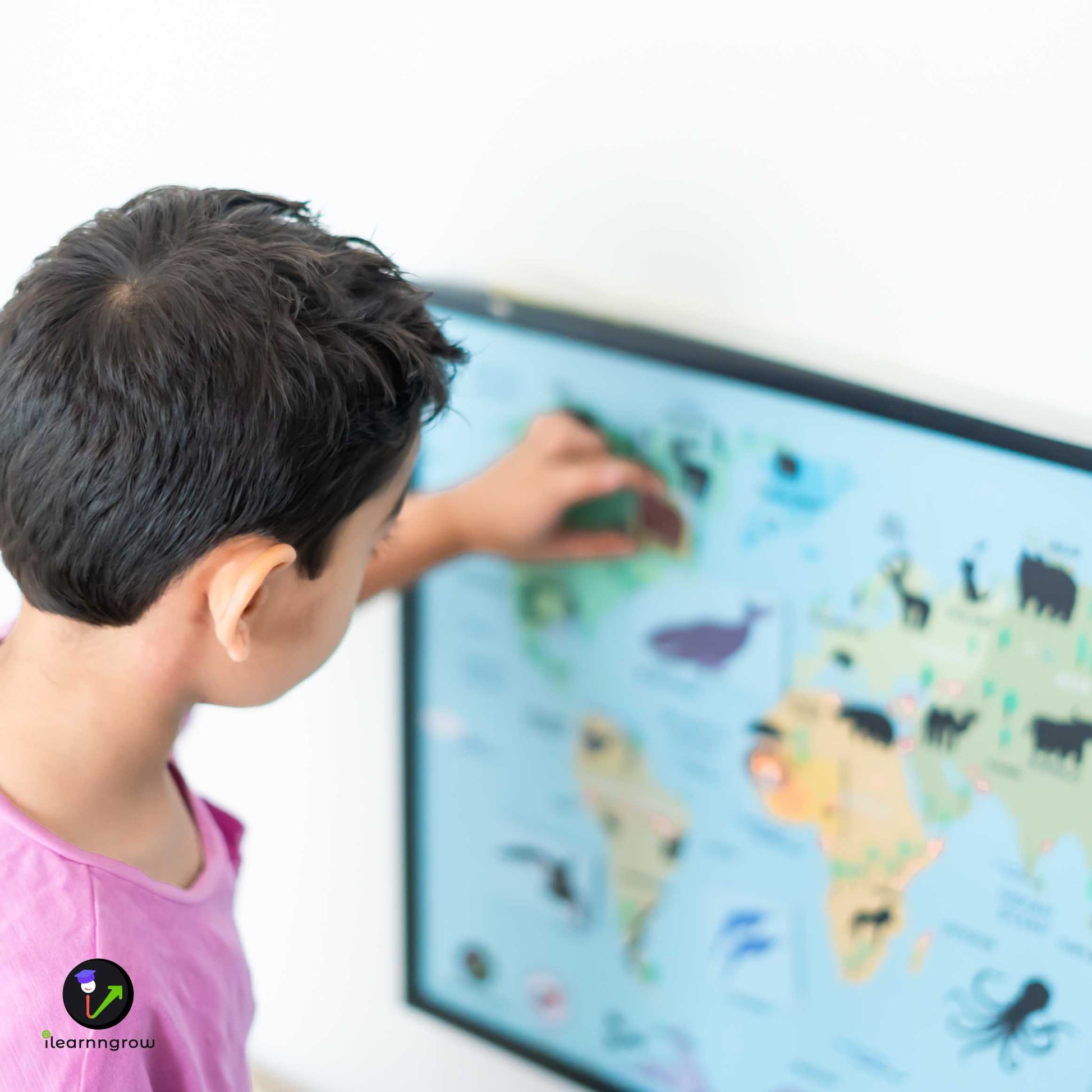 Buy Animals Found in the Continent Magnetic Wooden Board - SkilloToys.com