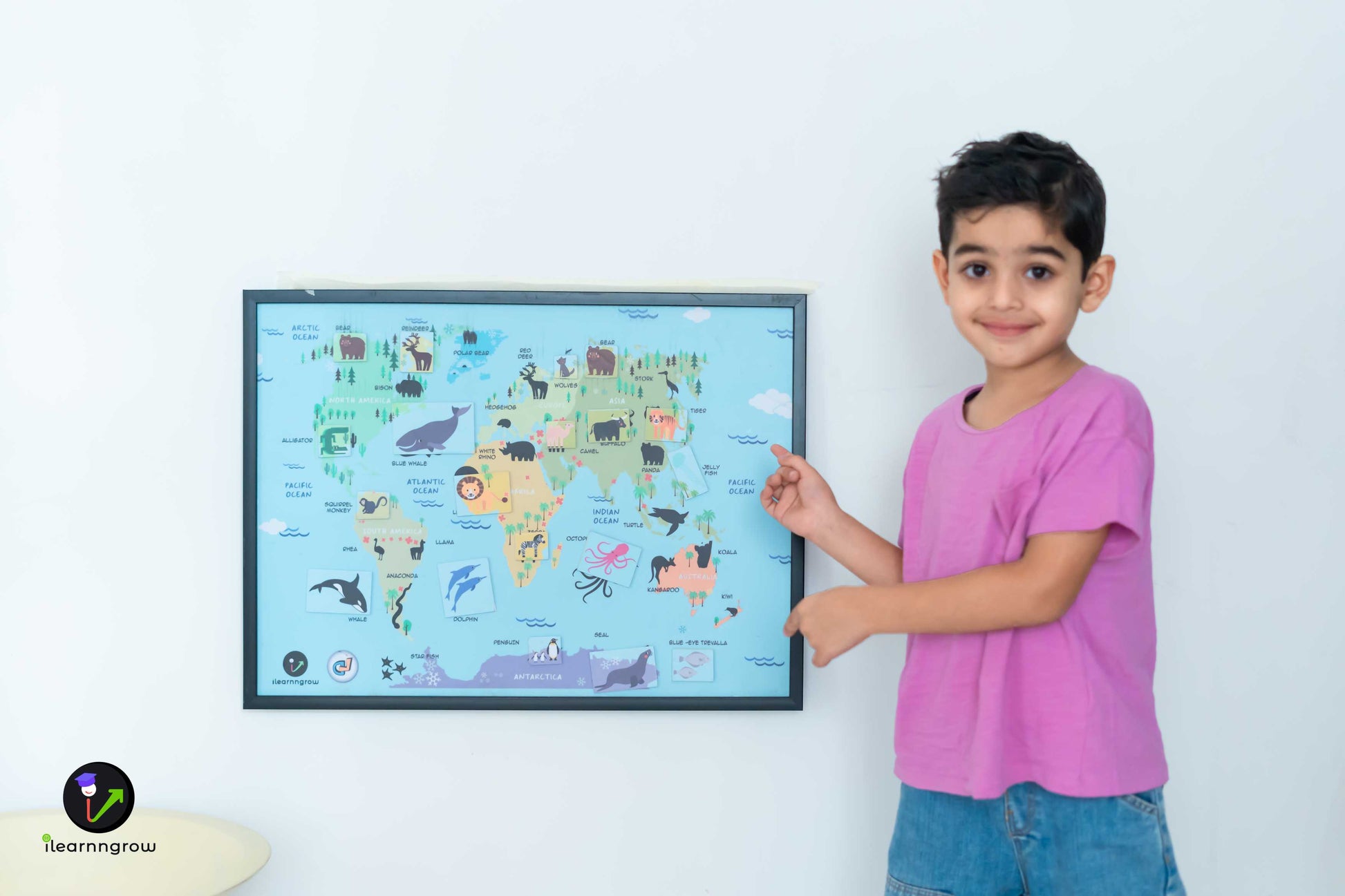 Buy Animals Found in the Continent Magnetic Wooden Board - SkilloToys.com