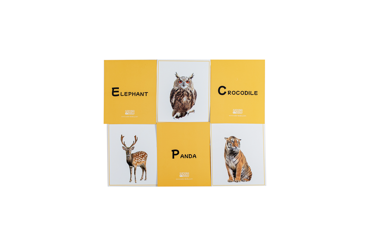 Buy Multi Play Use Wild World Animal Flaskcards Online - SkilloToys.com