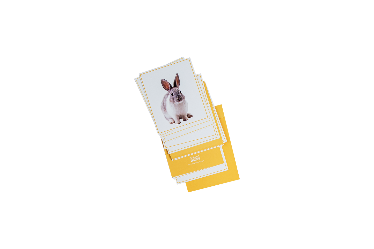 Buy Multi Play Use Wild World Animal Flaskcards Online - SkilloToys.com