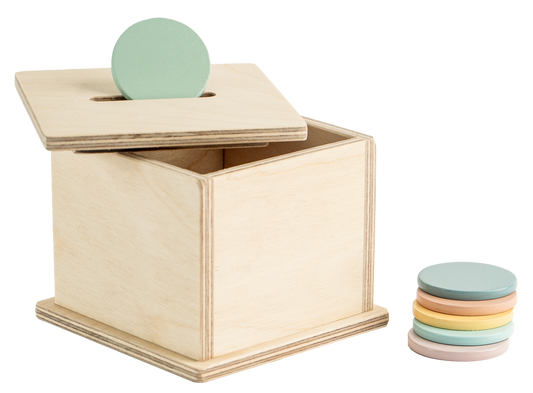 Buy Montessori Wooden Object Permanence Coinbox Online - SkilloToys.com