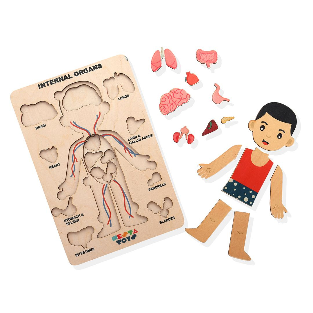 Buy Human Body Internal Organs Wooden Puzzle - SkilloToys.com
