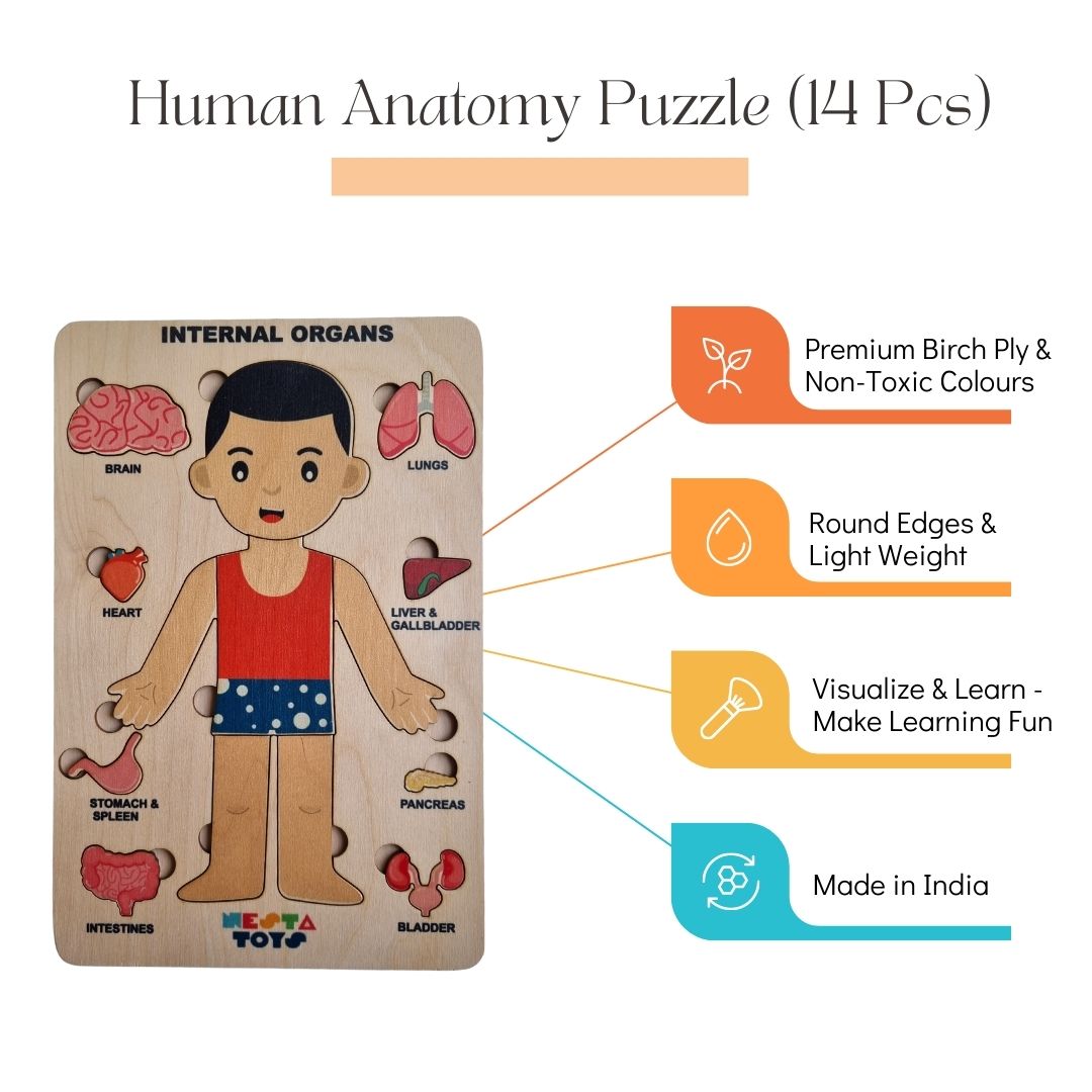 Buy Human Body Internal Organs Wooden Puzzle - SkilloToys.com
