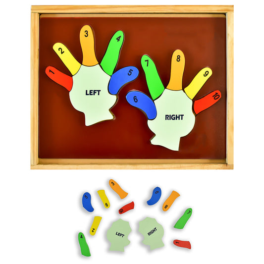 Buy Left and Right Hand Counting Puzzle Blocks - SkilloToys.com