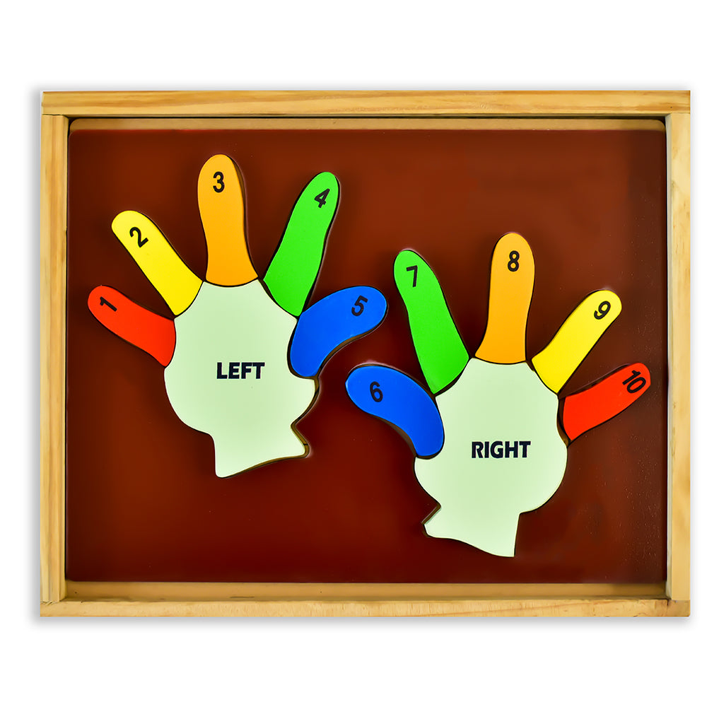 Buy Left and Right Hand Counting Puzzle Blocks - SkilloToys.com