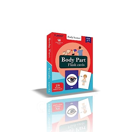 Body Parts Flash Card for Kids