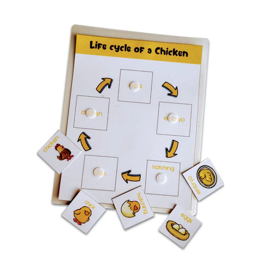 4 Lifecycle Activity (Bee, Butterfly, Frog and Chicken)