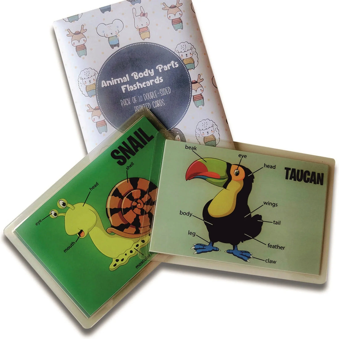 Animal Body Parts Flashcards - Pack of 10