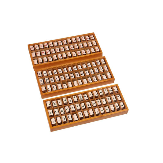 English Sentence Box (Set of 3)