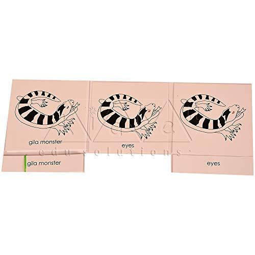 Montessori Nomenclature Learning Cards - Gila Monster