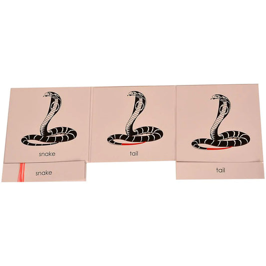Montessori Nomenclature Learning Cards - Snake