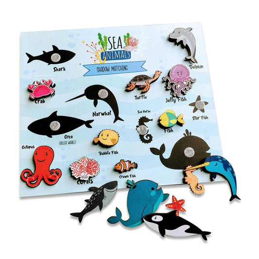 Sea Animals Shadow Matching Activity Game