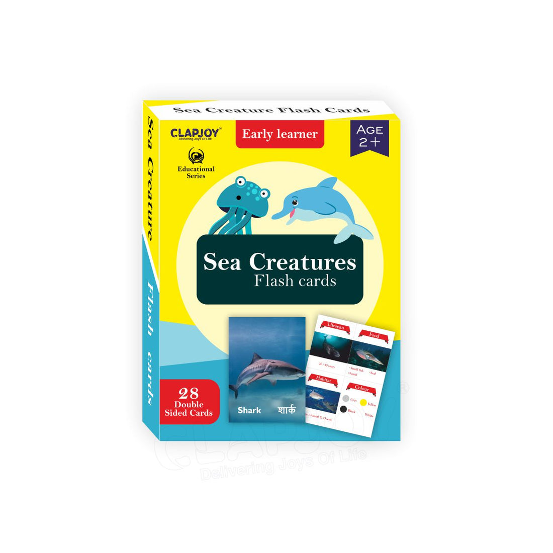 Sea Creature Flash Card