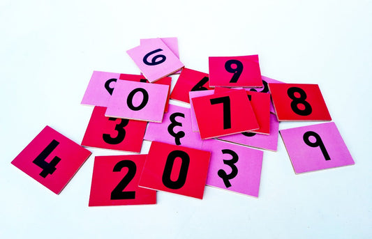 Wooden 1 to 10 Marathi & English Numbers Chip