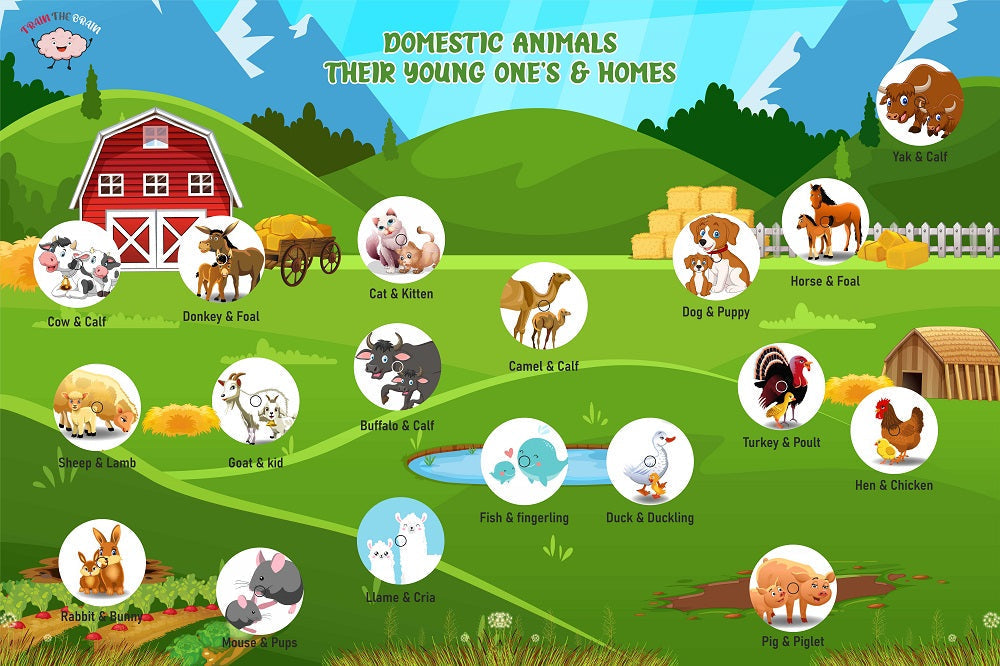 Wooden Domestic Animals Activity Mat for Kids