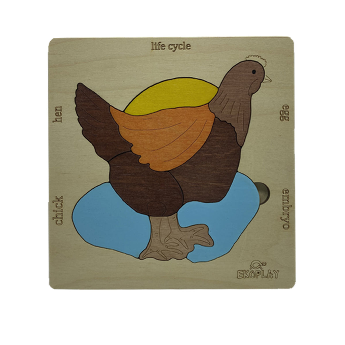 Wooden Life Cycle of a Chicken Puzzle Board