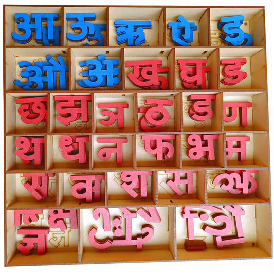 Wooden Montessori Preschool Movable Hindi Letters with Organizer Box & Magnetic