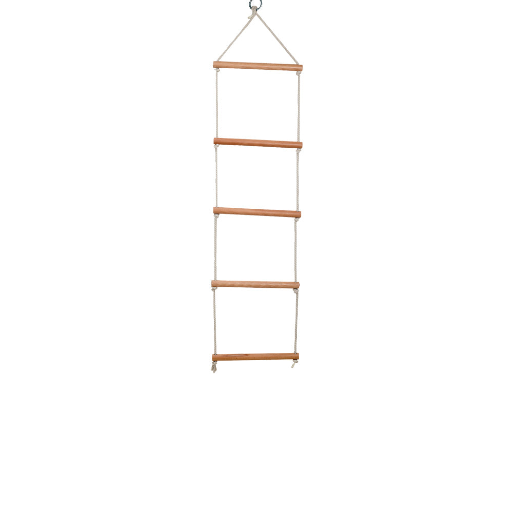 Swings & Monkey Bar