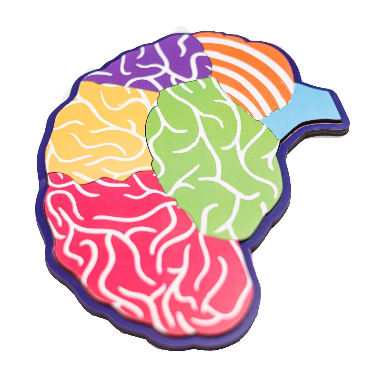 Anatomy of Brain Learning Board