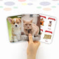 Animals Flash Card for Kids