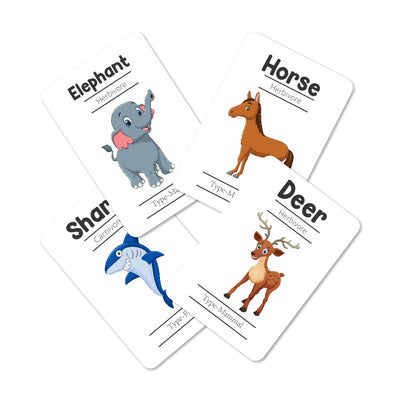 Animals Flashcards - Pack of 24