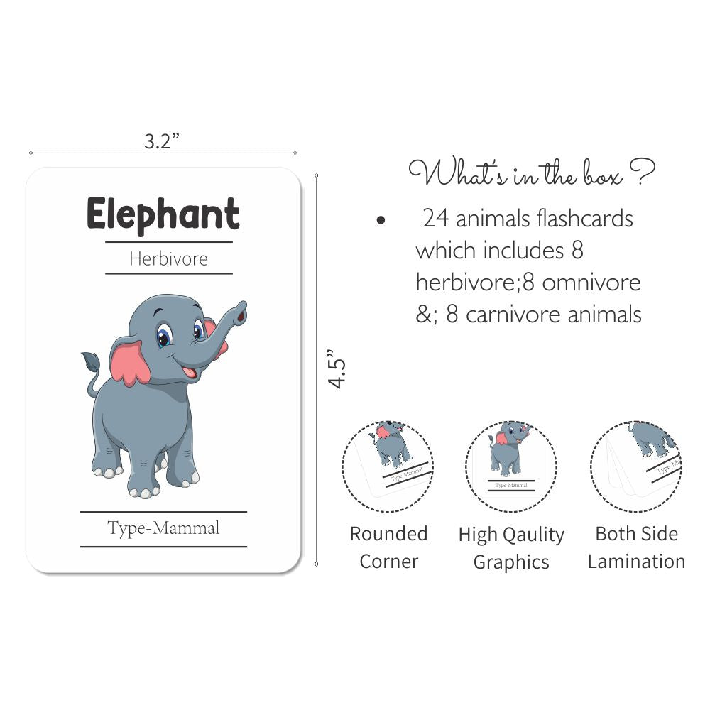Animals Flashcards - Pack of 24