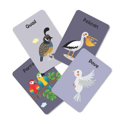 Birds Flash Cards For Kids - Pack of 24
