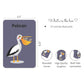 Birds Flash Cards For Kids - Pack of 24