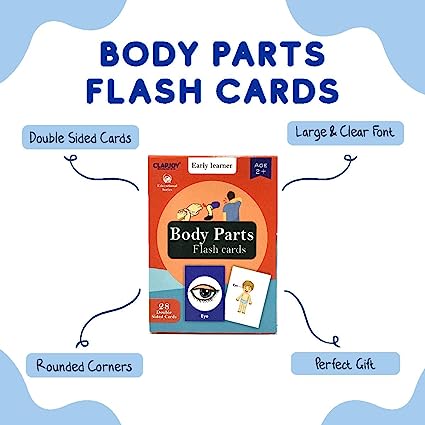 Body Parts Flash Card for Kids