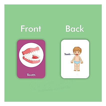 Body Parts Flash Card for Kids