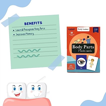Body Parts Flash Card for Kids