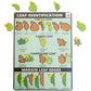 Leaf Identification Learning Board