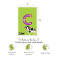 Buy Lowercase ABC Rewritable Flashcards  Tracing Mats - SkilloToys.com- In The Box