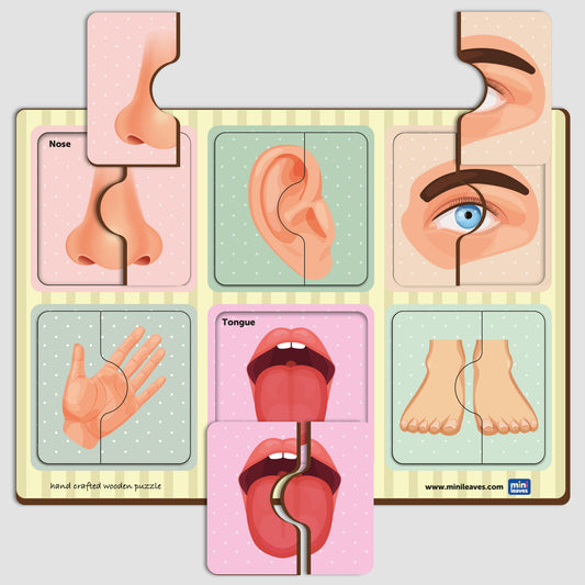 Wooden 2 Piece Human Body Parts Puzzle