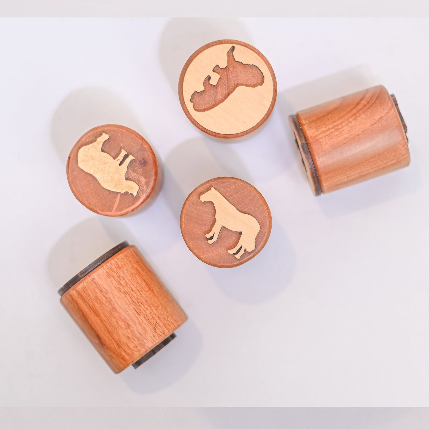 Wooden Animals Stamps for Kids