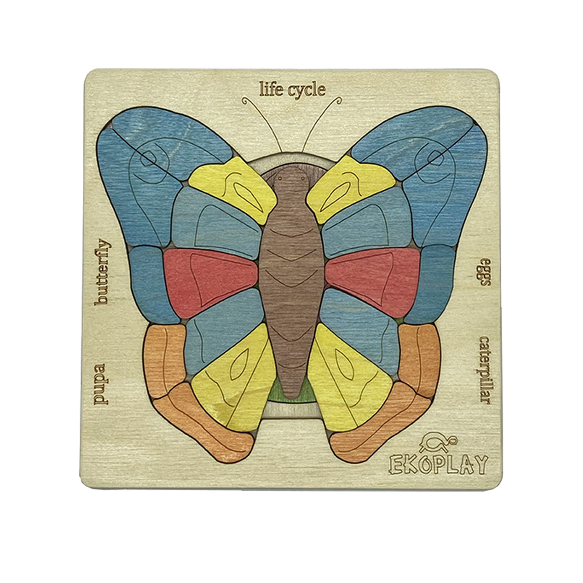 Wooden Life Cycle of a Butterfly Puzzle Board