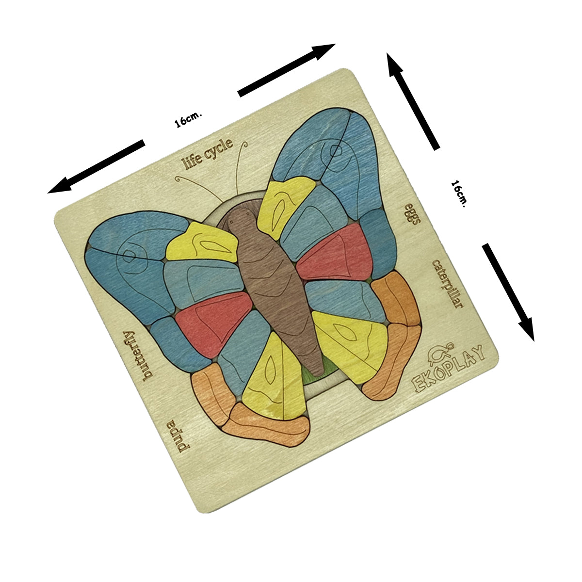 Wooden Life Cycle of a Butterfly Puzzle Board