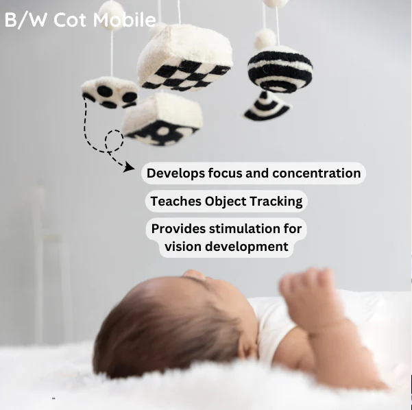 Montessori Play Kit Level 1 Advance - 0 Months+ Babies