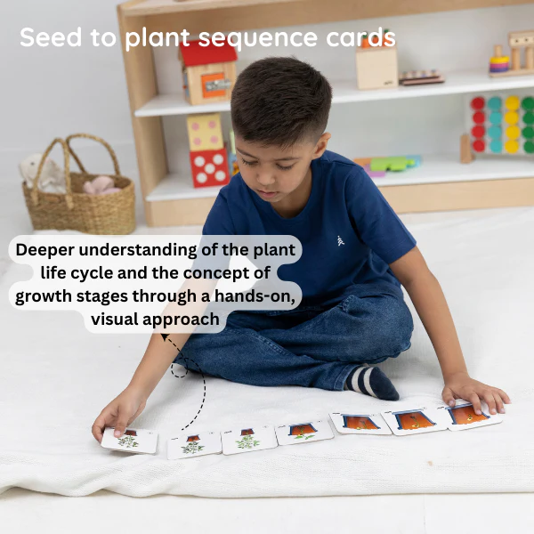 Montessori Play Kit Level 12