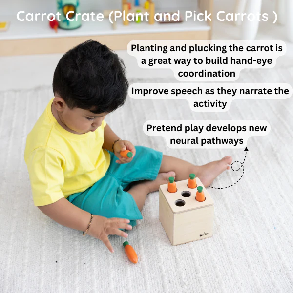 Montessori Play Kit Level  7 to 9