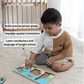 Montessori Play Kit Level 8 to 10