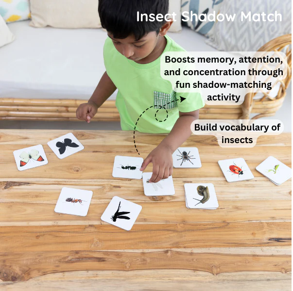 Montessori Play Kit Level 8 to 10