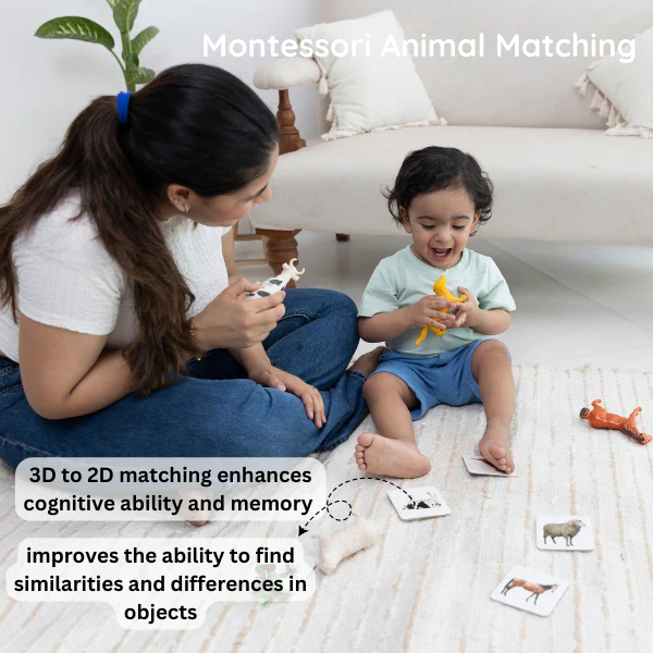 Montessori Play Kit Level 9